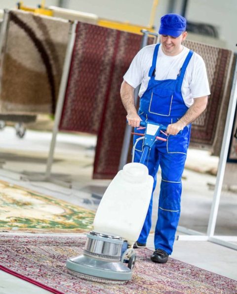 Rug Cleaning - Steamdry Carpet Care